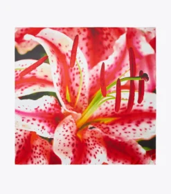 QUADRATISCHES LILY SEIDENTUCH
